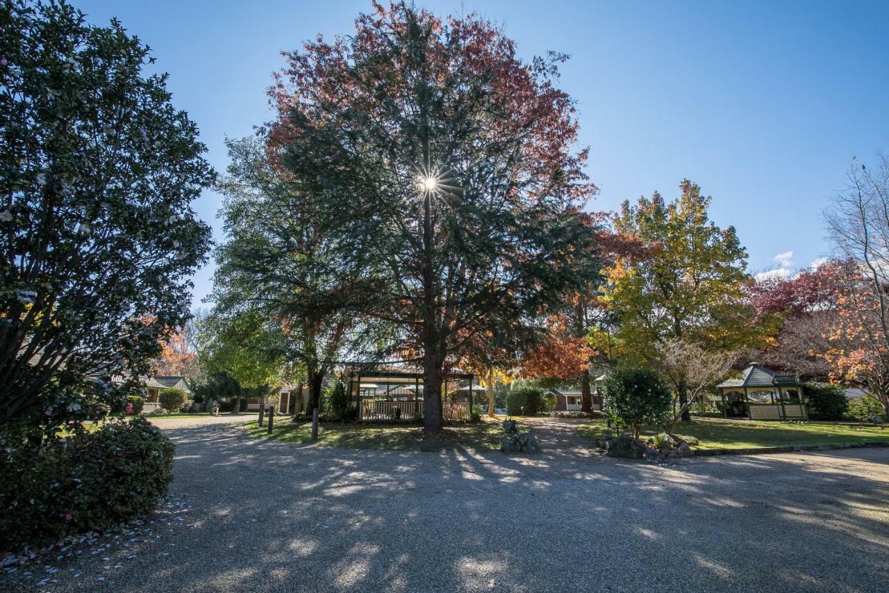 The Birch House - Silver Birches Accommodation ไบรท์ ภายนอก รูปภาพ