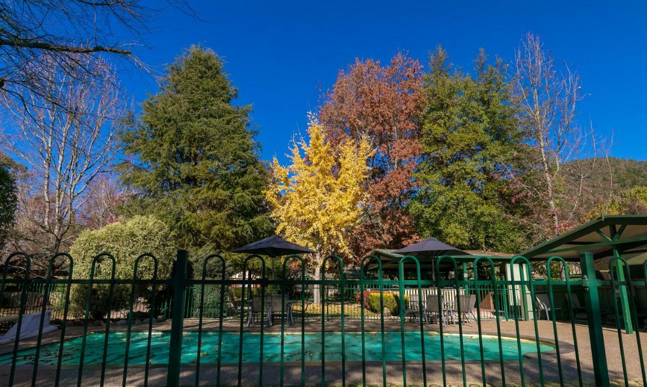 The Birch House - Silver Birches Accommodation ไบรท์ ภายนอก รูปภาพ